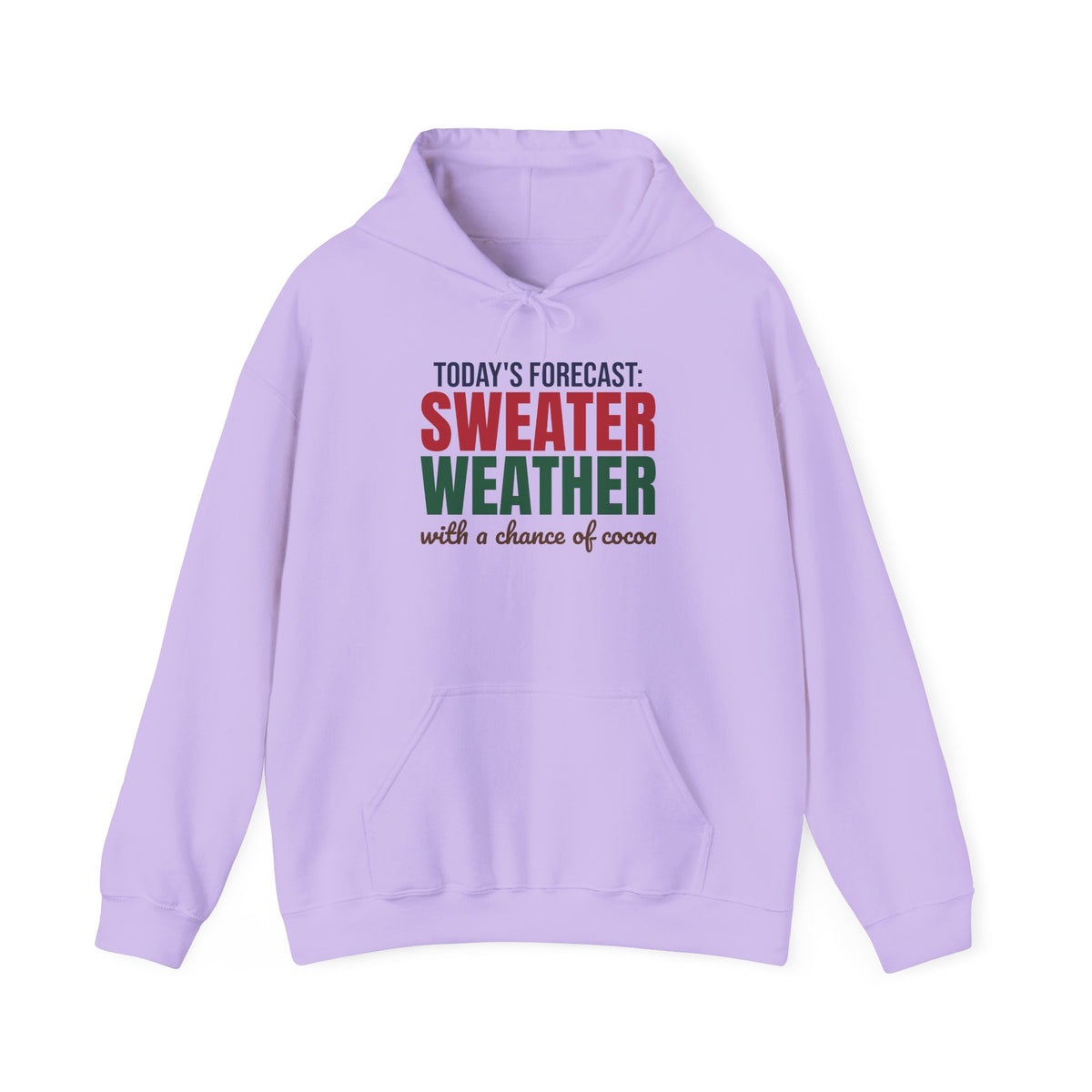 Today's Forecast Sweater Weather With a Chance of Cocoa Hoodie, Sweater Weather Hoodie