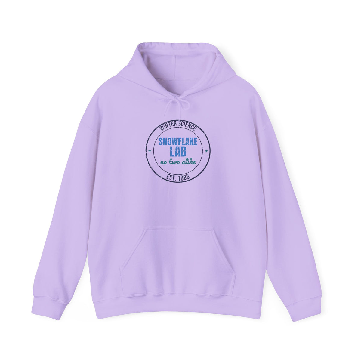 Winter Science Snowflake Lab Est. 1885 Hoodie, Vintage Winter Hoodie