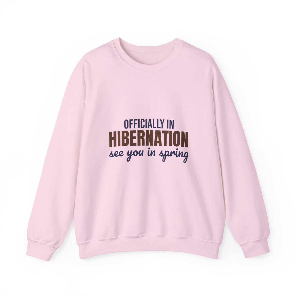 Officially in Hibernation See You in Spring Sweatshirt, Funny Winter Crewneck Sweatshirt