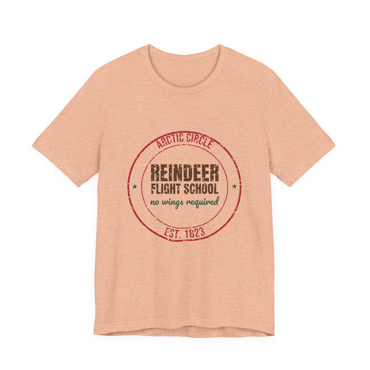 Arctic Circle Reindeer Flight School Est. 1823 Shirt, Vintage Christmas T-Shirt, Vintage Christmas Gift