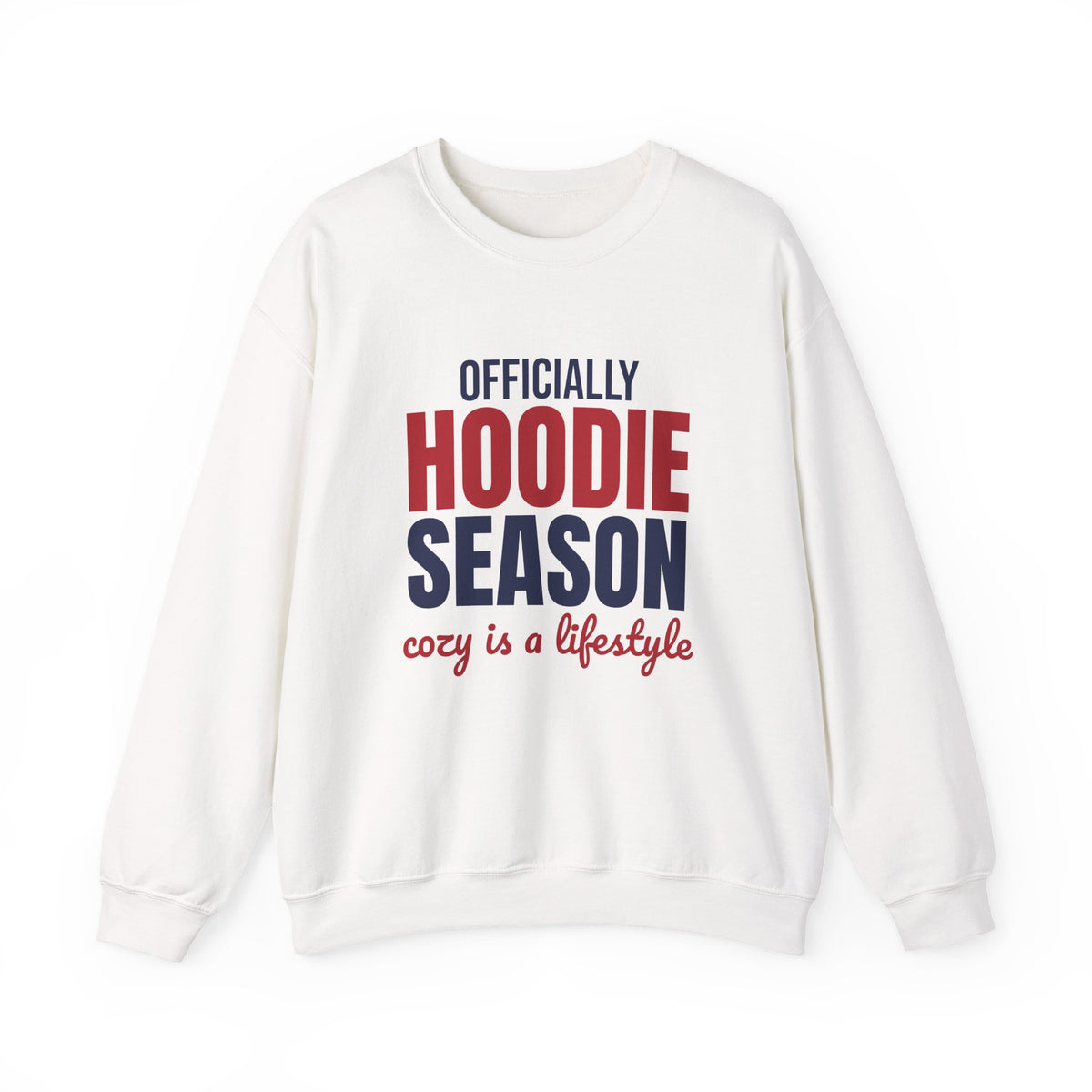 Officially Hoodie Season Cozy Is a Lifestyle Sweatshirt