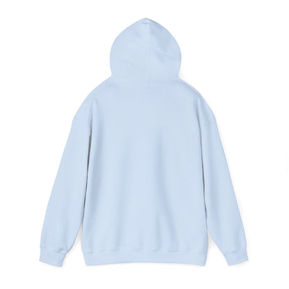 Grandma Est 2026 Hoodie, New Grandma Hooded Sweatshirt, Pregnancy Reveal Gift
