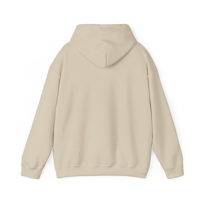 Jolly Vibes Tis the Season Hoodie, Christmas Hooded Sweatshirt, Retro Holiday Hoodie