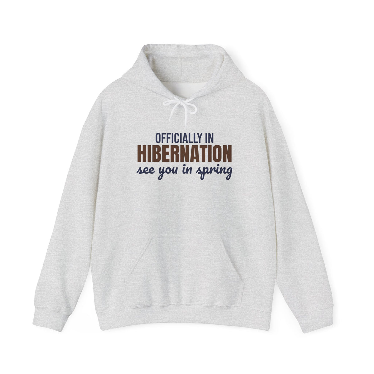 Officially in Hibernation See You in Spring Hoodie, Funny Winter Hoodie