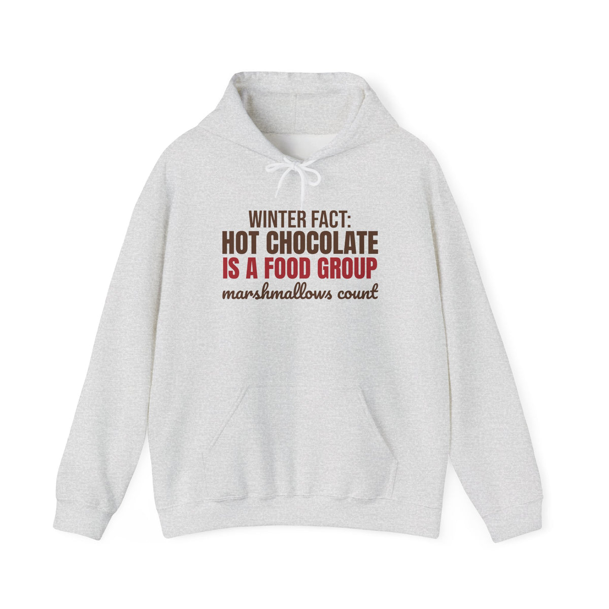 Winter Fact Hot Chocolate Is a Food Group Hoodie, Funny Winter Hoodie