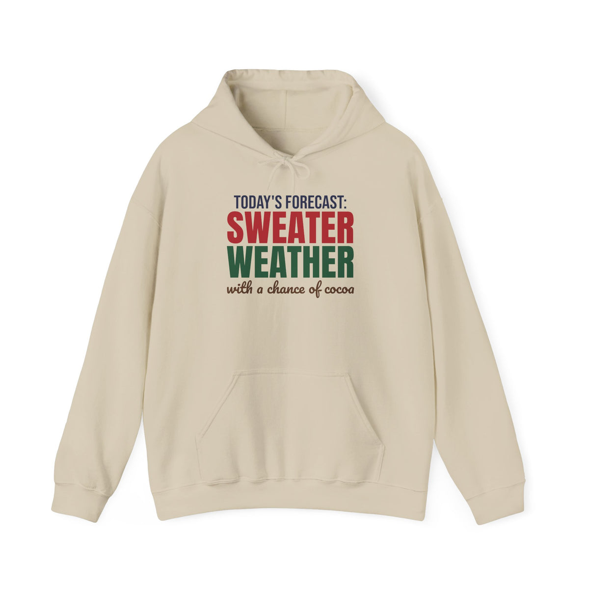 Today's Forecast Sweater Weather With a Chance of Cocoa Hoodie, Sweater Weather Hoodie