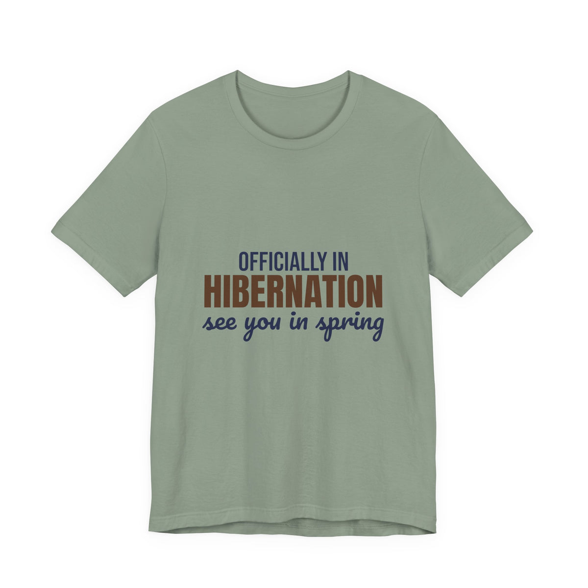 Officially in Hibernation See You in Spring Shirt, Funny Winter T-Shirt, Funny Winter Gift