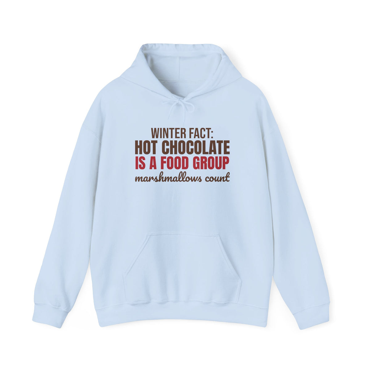 Winter Fact Hot Chocolate Is a Food Group Hoodie, Funny Winter Hoodie