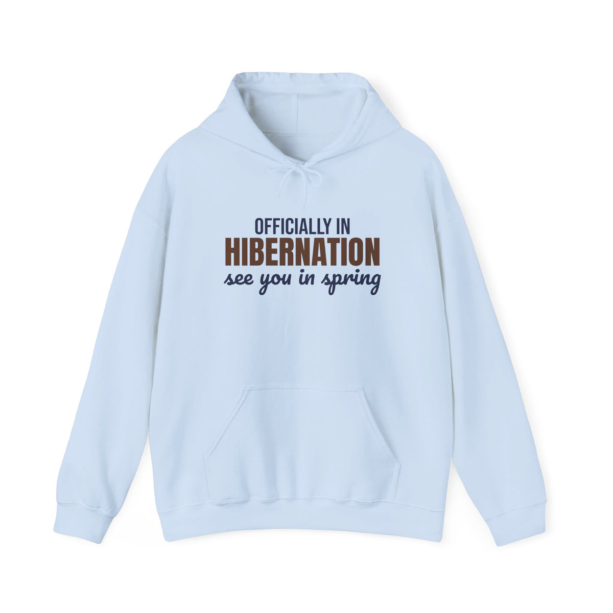 Officially in Hibernation See You in Spring Hoodie, Funny Winter Hoodie