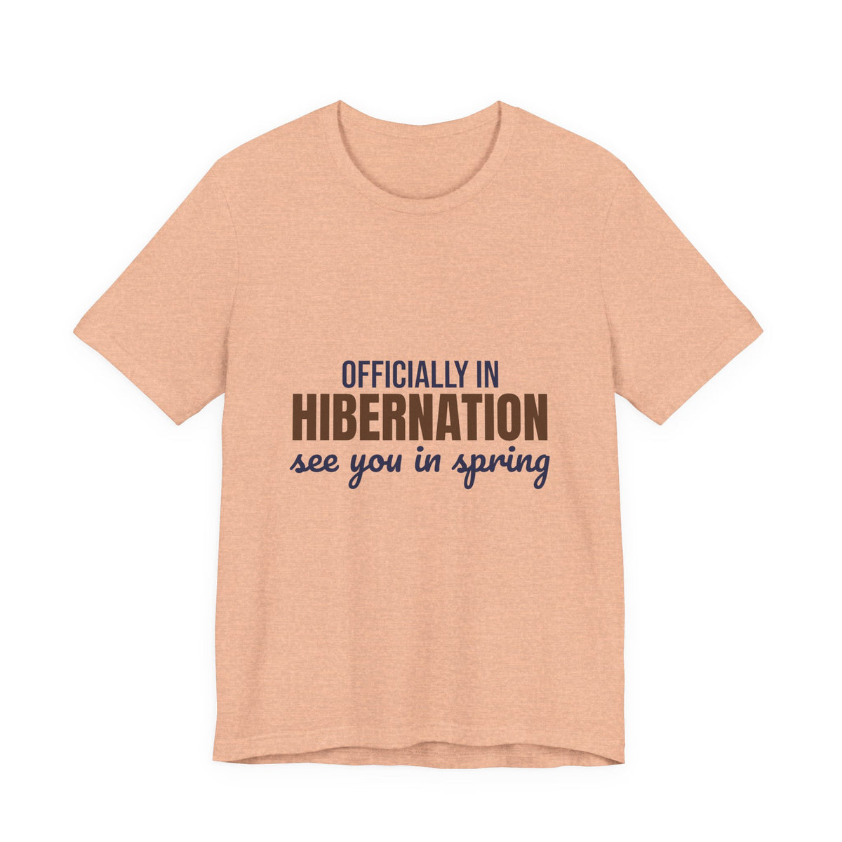Officially in Hibernation See You in Spring Shirt, Funny Winter T-Shirt, Funny Winter Gift