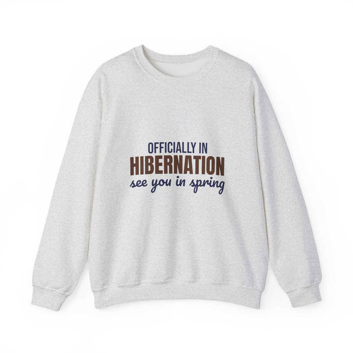 Officially in Hibernation See You in Spring Sweatshirt, Funny Winter Crewneck Sweatshirt