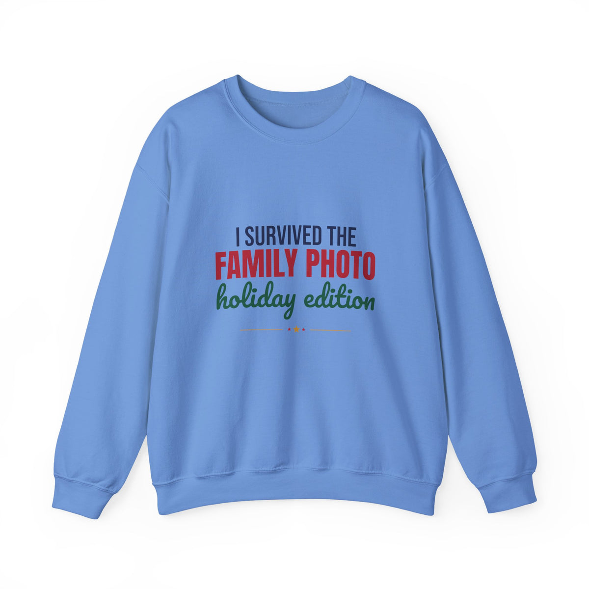 I Survived the Family Photo Holiday Edition Sweatshirt, Family Christmas Crewneck Sweatshirt