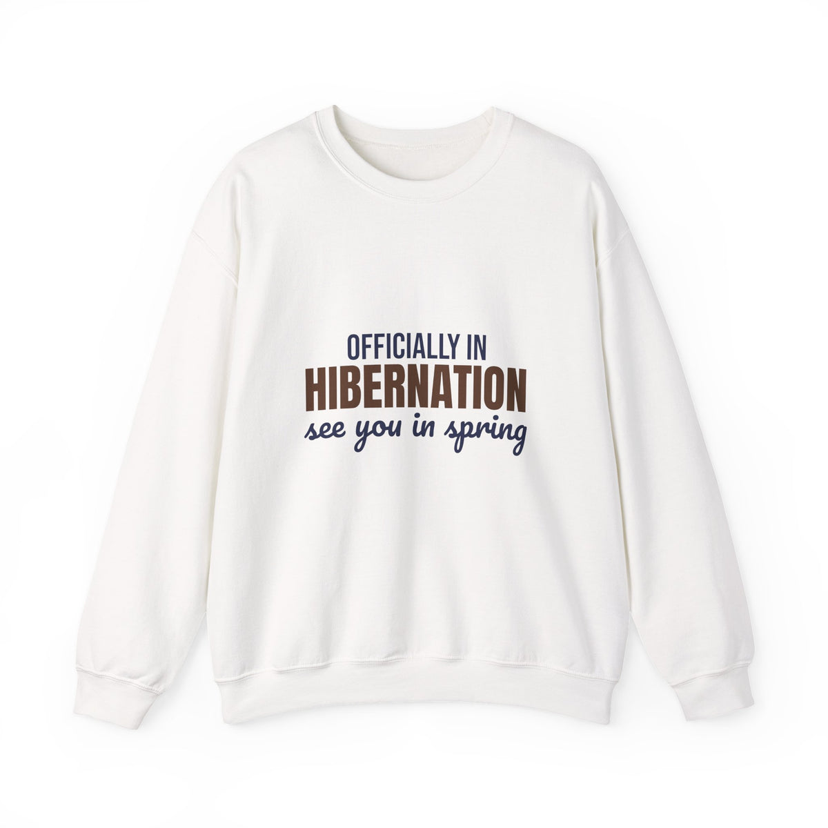 Officially in Hibernation See You in Spring Sweatshirt, Funny Winter Crewneck Sweatshirt