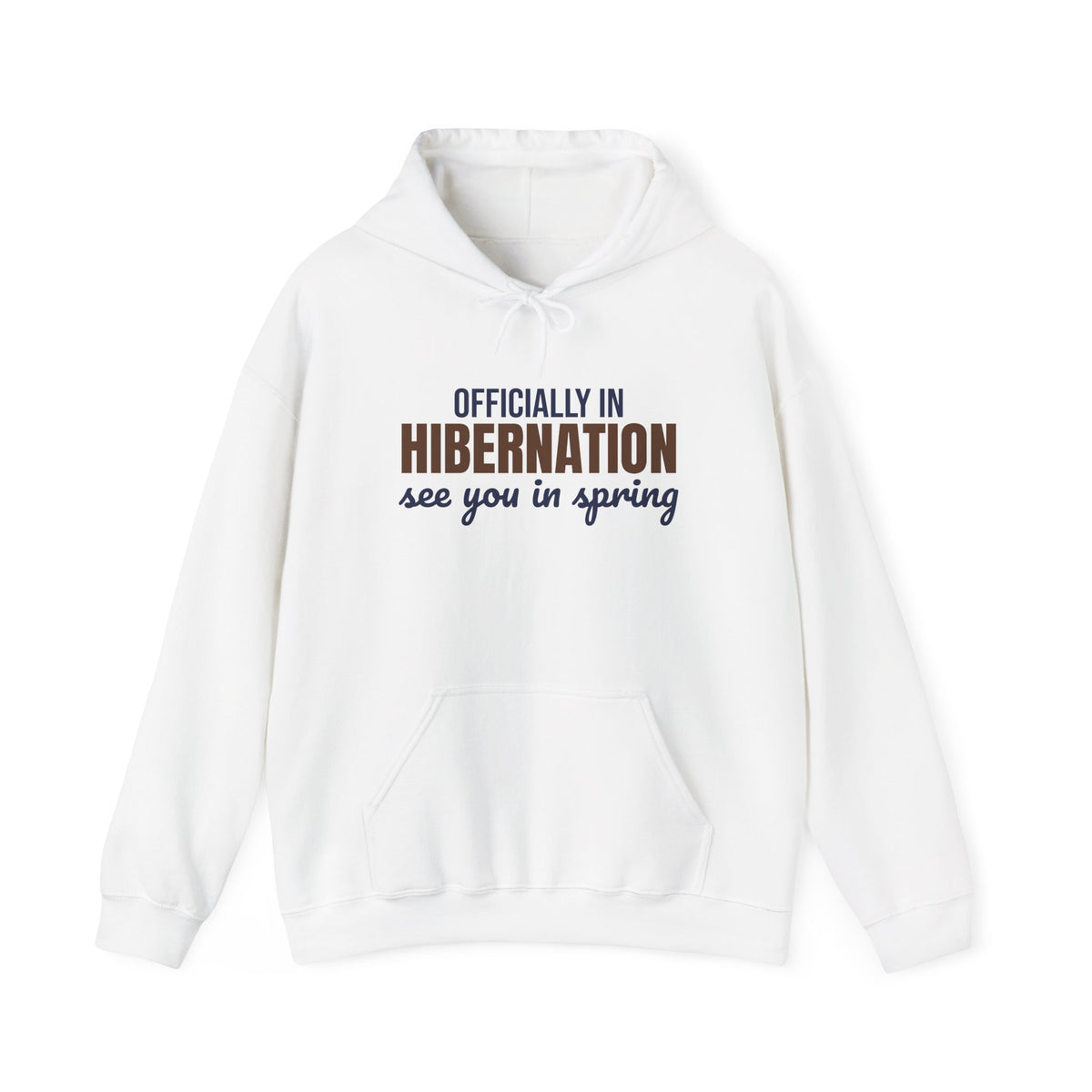 Officially in Hibernation See You in Spring Hoodie, Funny Winter Hoodie
