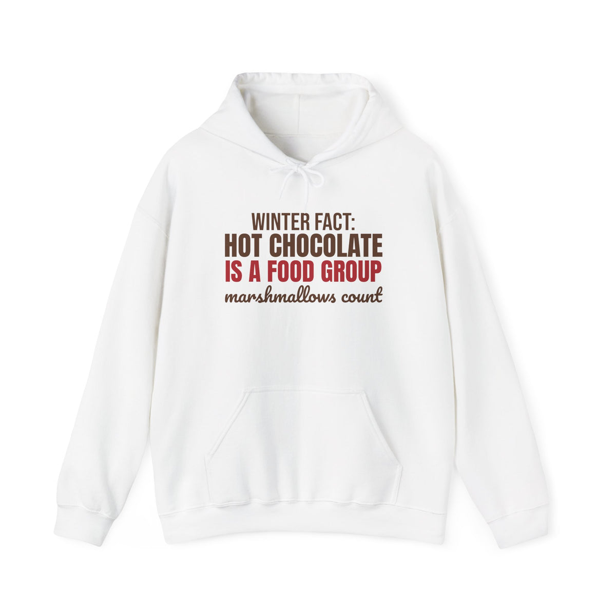 Winter Fact Hot Chocolate Is a Food Group Hoodie, Funny Winter Hoodie