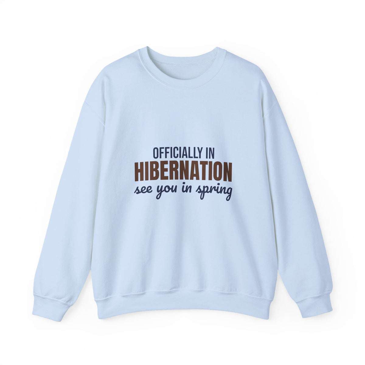 Officially in Hibernation See You in Spring Sweatshirt, Funny Winter Crewneck Sweatshirt