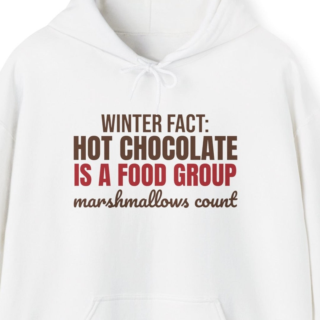 Winter Fact Hot Chocolate Is a Food Group Hoodie, Funny Winter Hoodie lifestyle