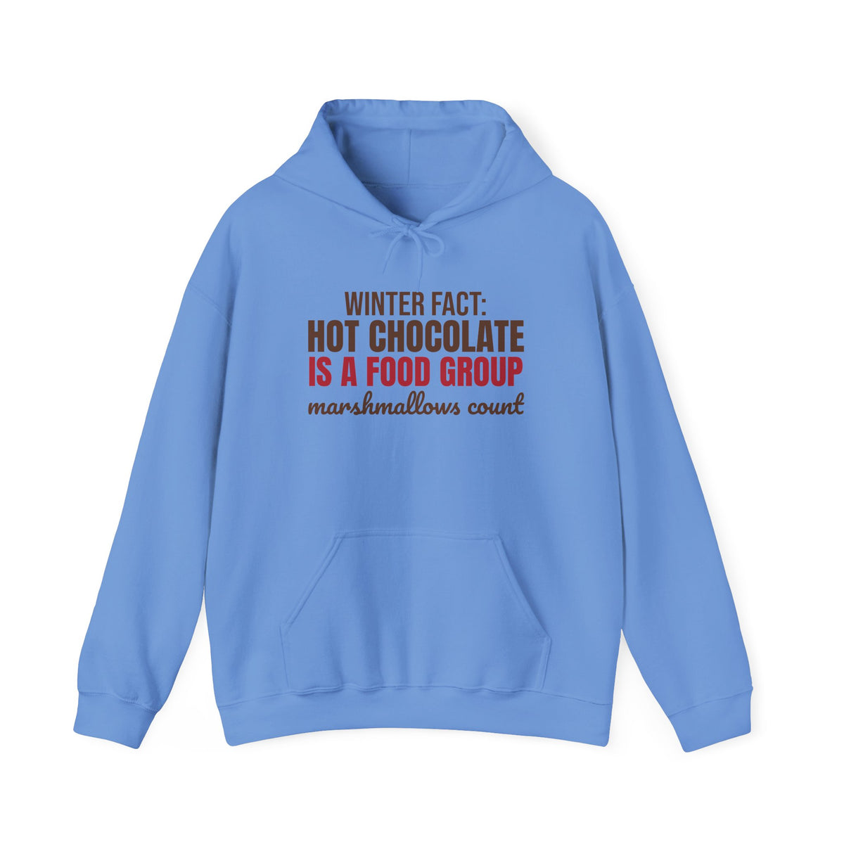 Winter Fact Hot Chocolate Is a Food Group Hoodie, Funny Winter Hoodie