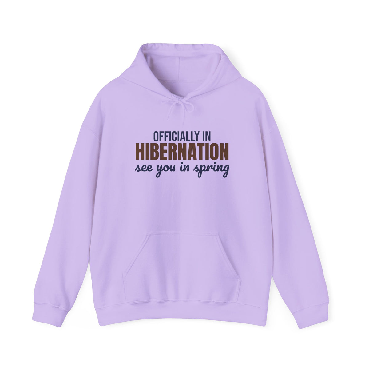 Officially in Hibernation See You in Spring Hoodie, Funny Winter Hoodie