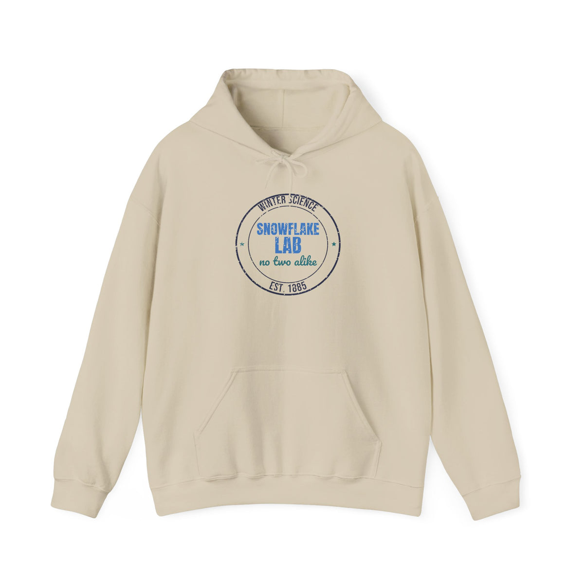 Winter Science Snowflake Lab Est. 1885 Hoodie, Vintage Winter Hoodie