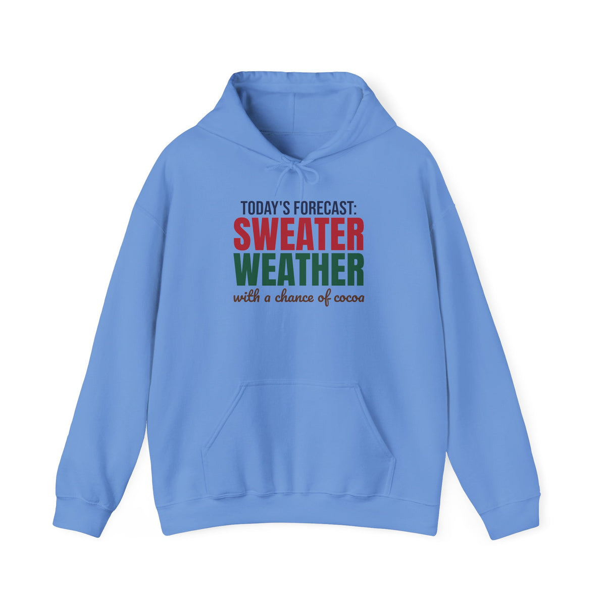 Today's Forecast Sweater Weather With a Chance of Cocoa Hoodie, Sweater Weather Hoodie
