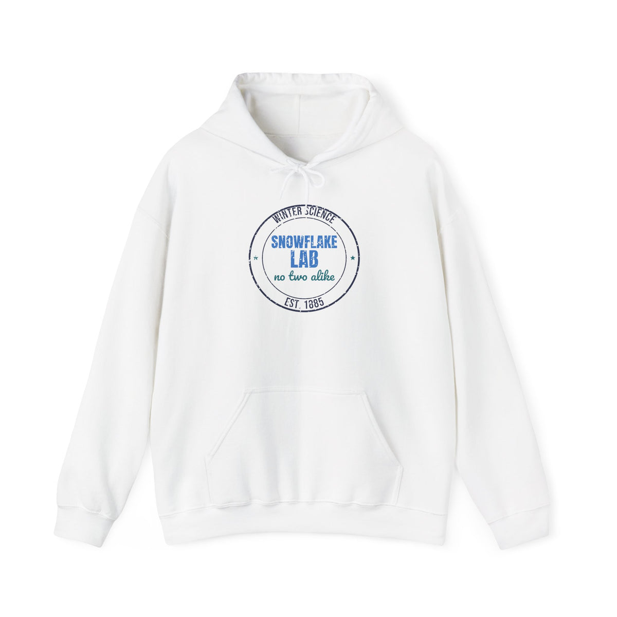 Winter Science Snowflake Lab Est. 1885 Hoodie, Vintage Winter Hoodie