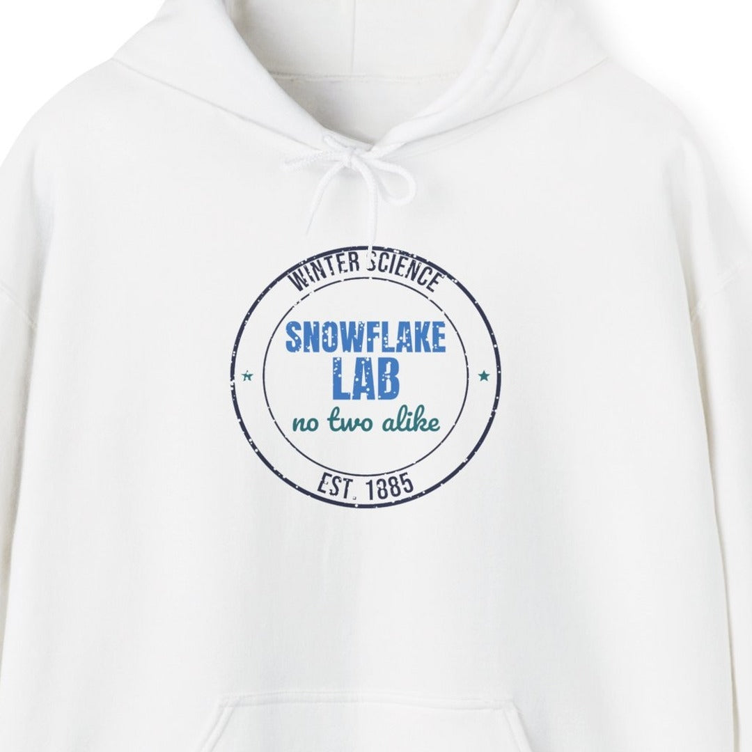 Winter Science Snowflake Lab Est. 1885 Hoodie, Vintage Winter Hoodie lifestyle