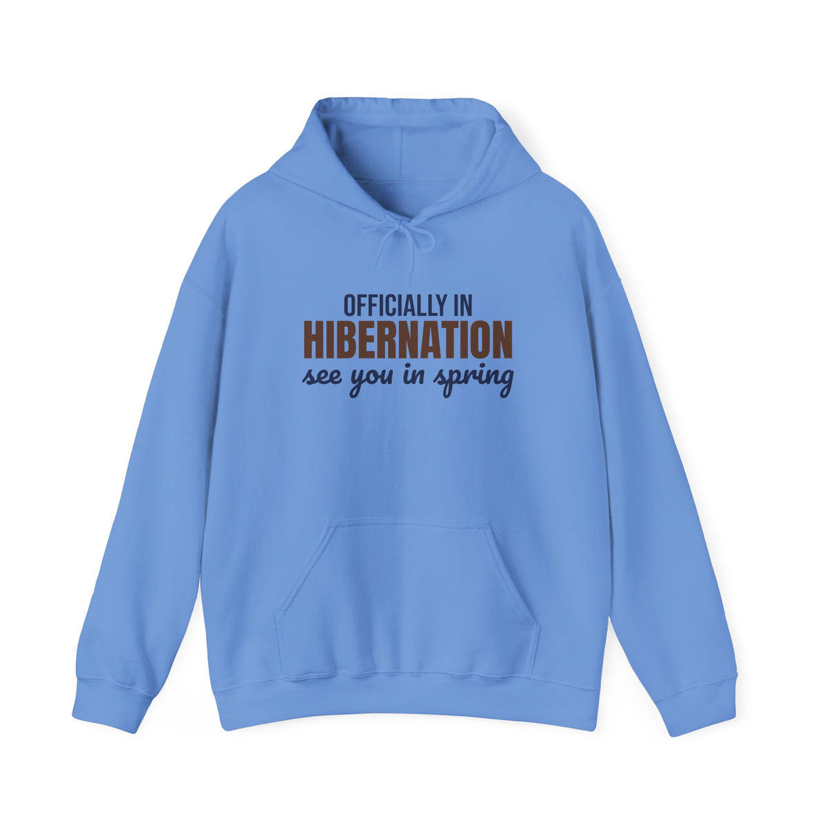 Officially in Hibernation See You in Spring Hoodie, Funny Winter Hoodie