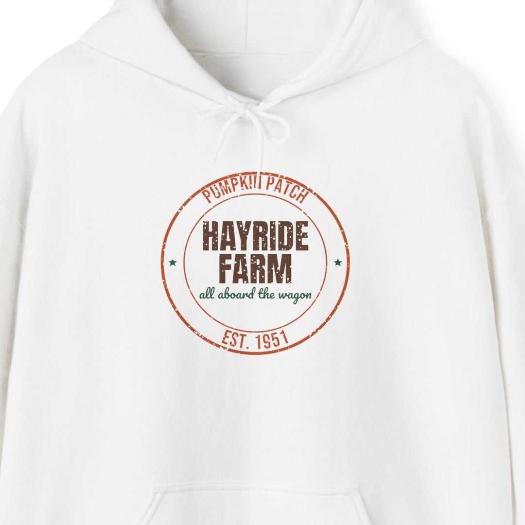 Pumpkin Patch Hayride Farm Est. 1951 Hoodie, Vintage Fall Hoodie lifestyle