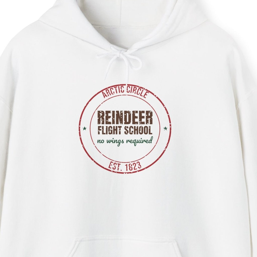 Arctic Circle Reindeer Flight School Est. 1823 Hoodie, Vintage Christmas Hoodie lifestyle