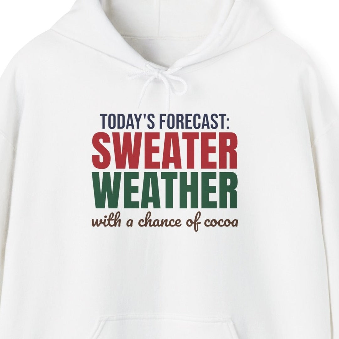 Today's Forecast Sweater Weather With a Chance of Cocoa Hoodie, Sweater Weather Hoodie lifestyle